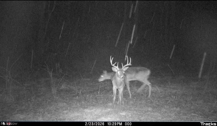 2255 Township Road 34 Killbuck OH 44637