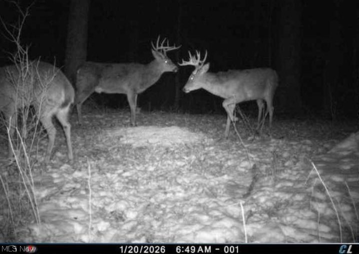 2255 Township Road 34 Killbuck OH 44637