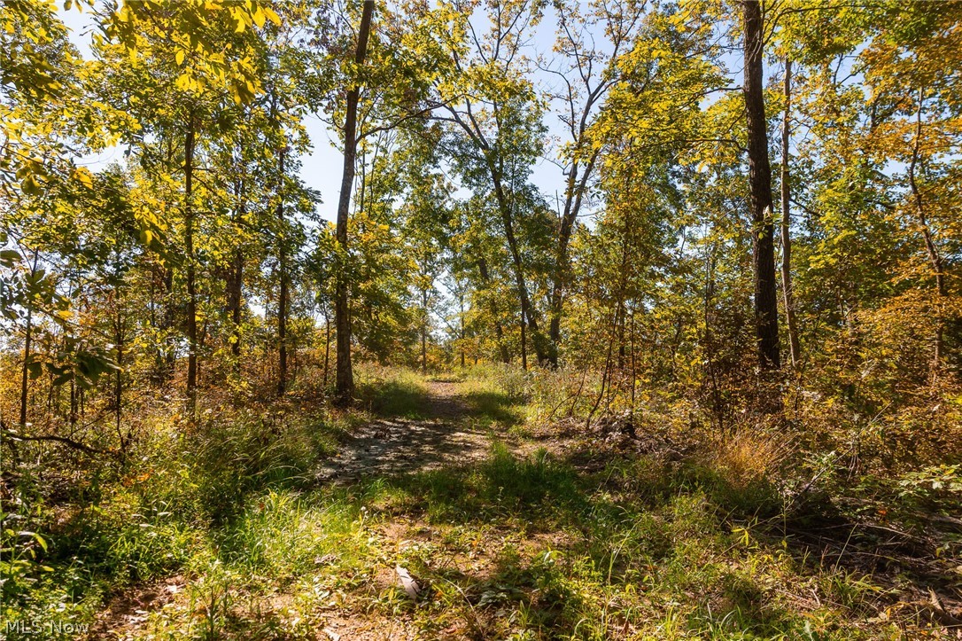 Keithtown Road Caldwell OH 43724