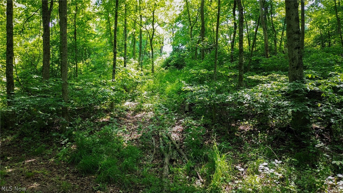 Cr 425 Fresno OH 43824