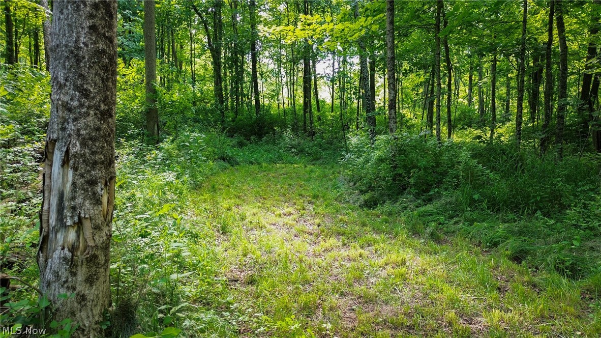 Cr 425 Fresno OH 43824