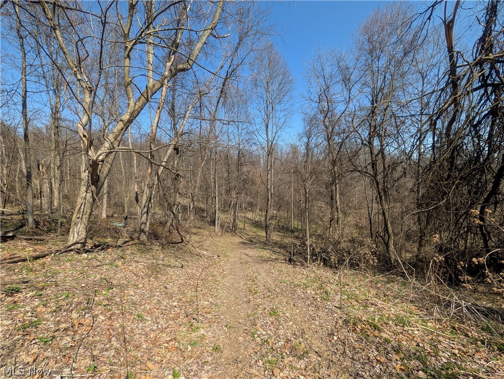 Township Road 289 Hammondsville OH 43945
