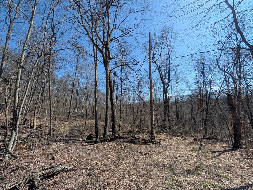 Township Road 289 Hammondsville OH 43945