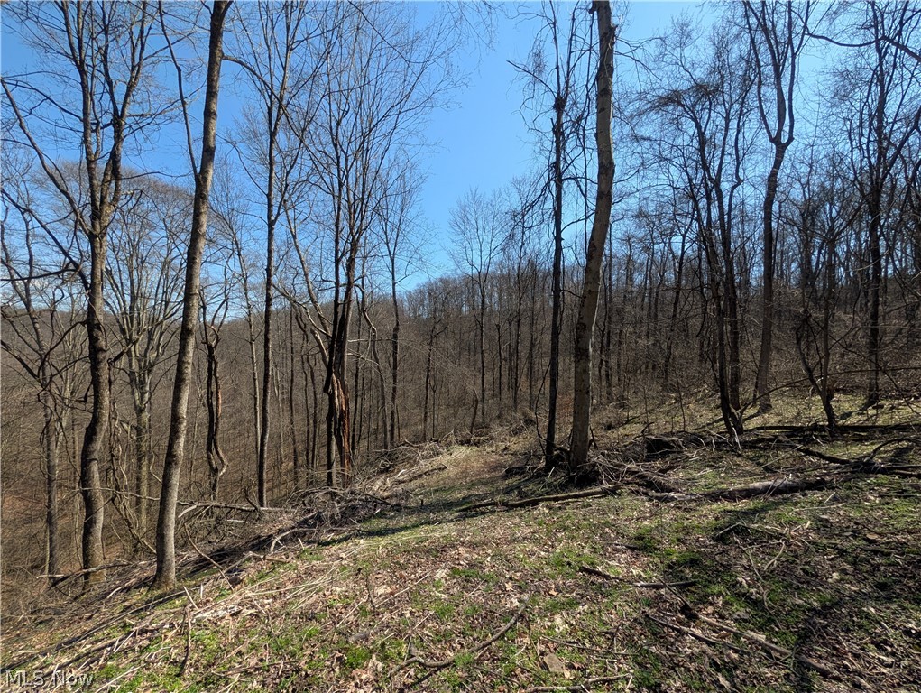 Township Road 289 Hammondsville OH 43945