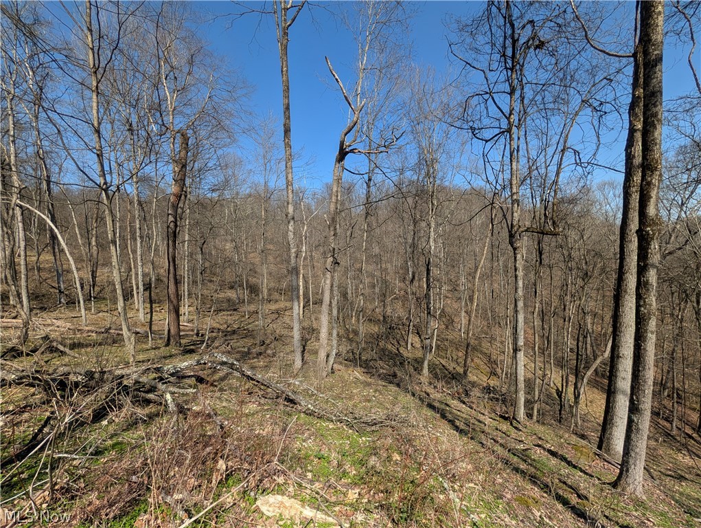 Township Road 289 Hammondsville OH 43945