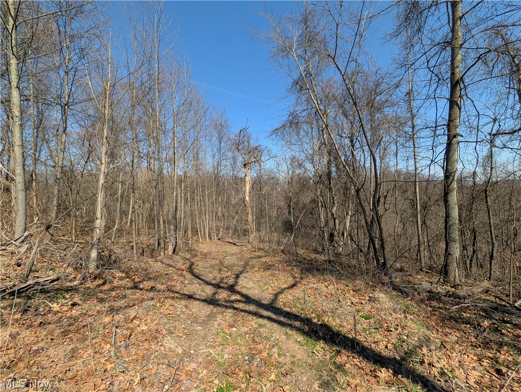 Township Road 289 Hammondsville OH 43945
