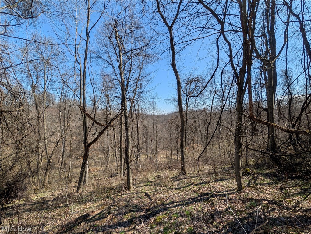 Township Road 289 Hammondsville OH 43945