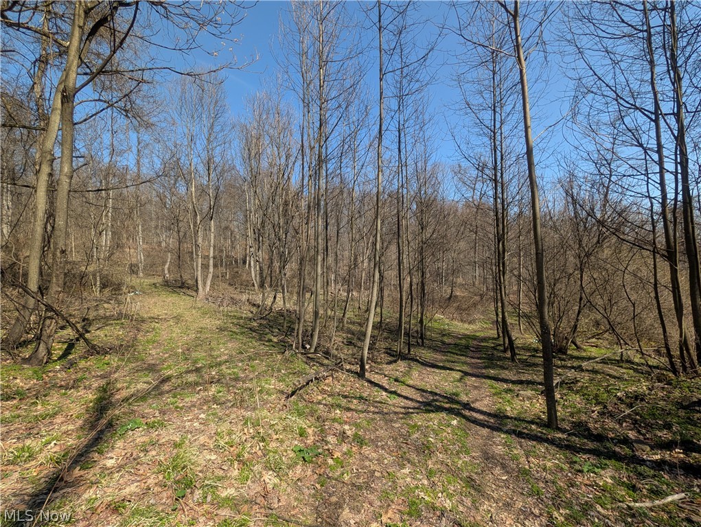 Township Road 289 Hammondsville OH 43945