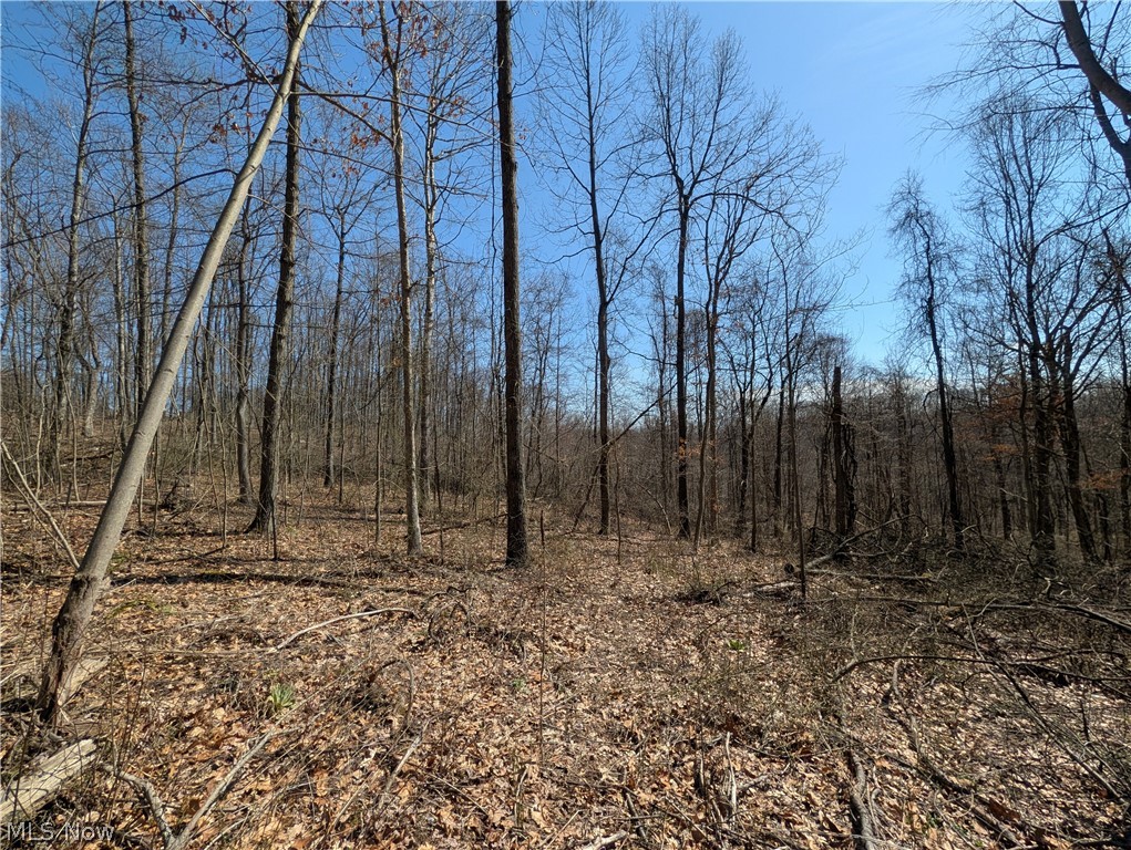 Township Road 289 Hammondsville OH 43945