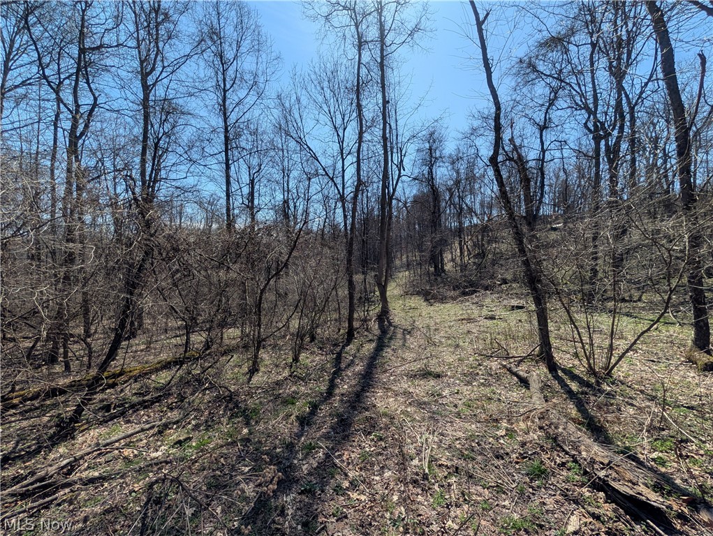 Township Road 289 Hammondsville OH 43945