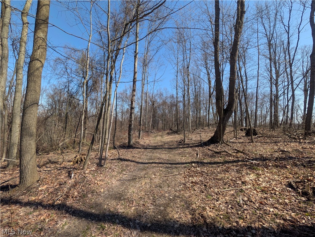 Township Road 289 Hammondsville OH 43945