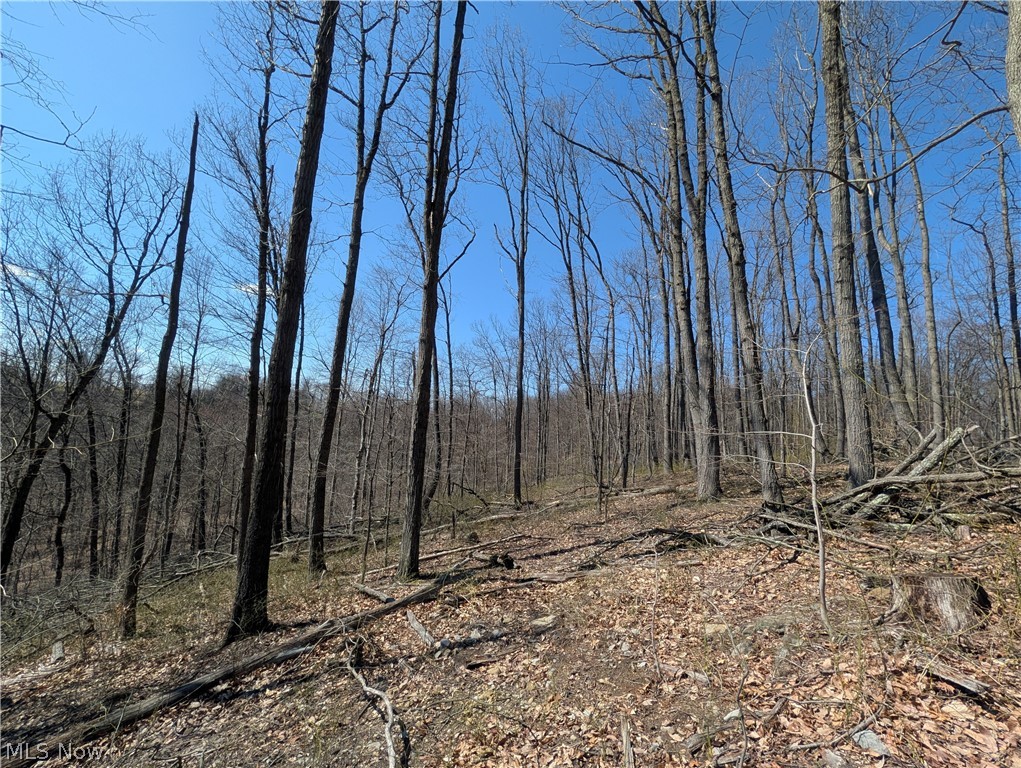 Township Road 289 Hammondsville OH 43945