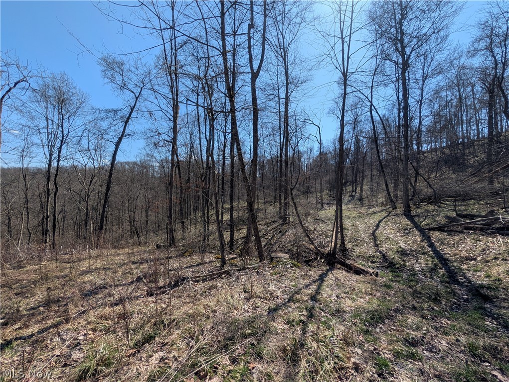 Township Road 289 Hammondsville OH 43945