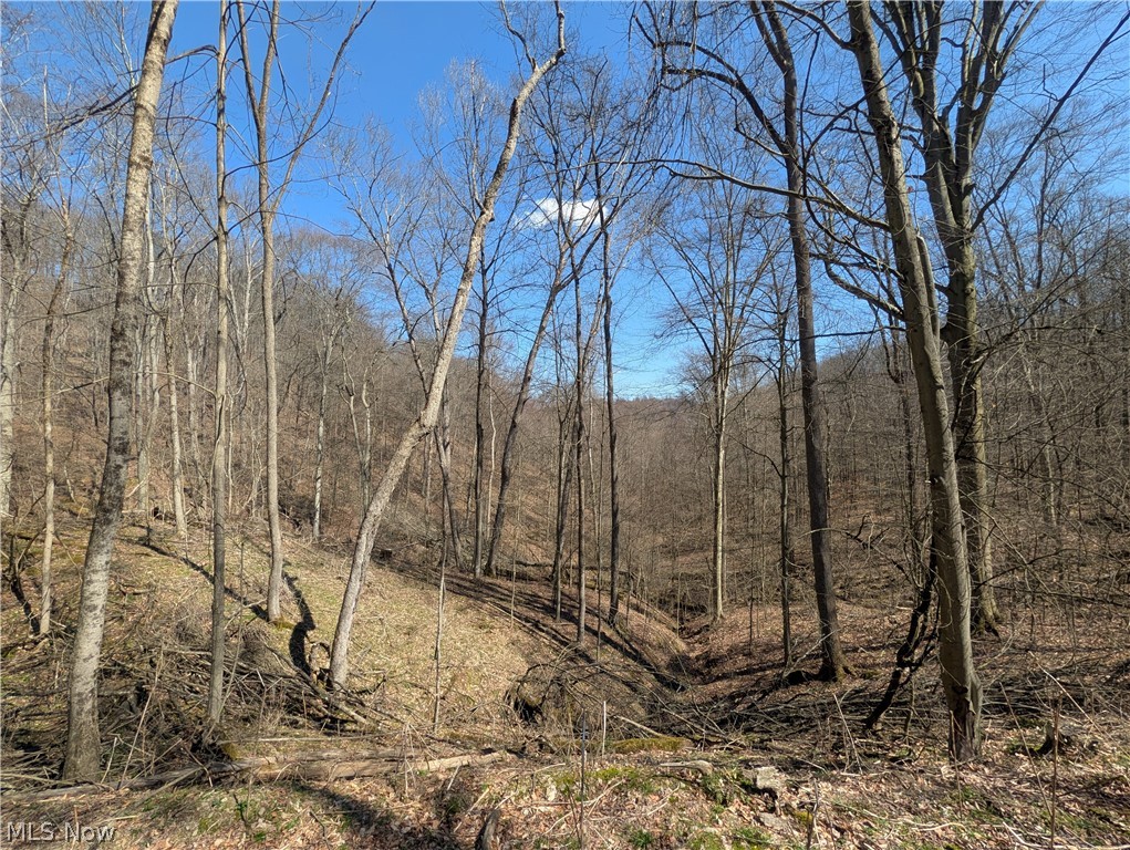 Township Road 289 Hammondsville OH 43945