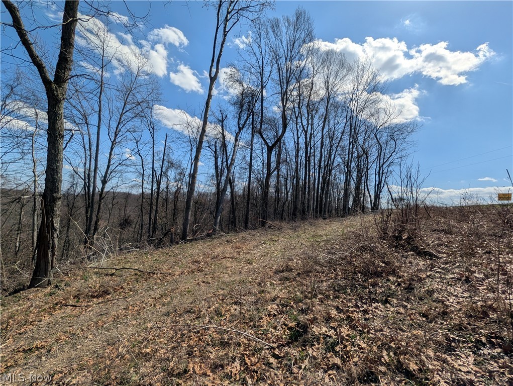Township Road 289 Hammondsville OH 43945