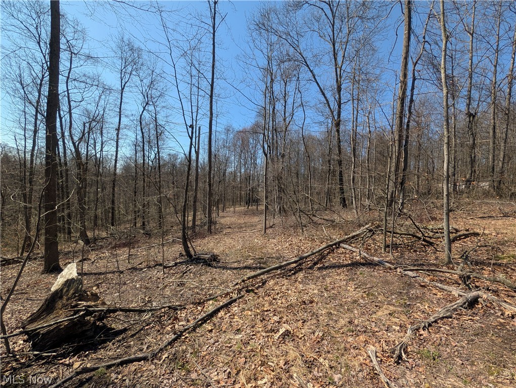 Township Road 289 Hammondsville OH 43945