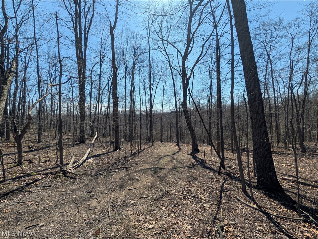 Township Road 289 Hammondsville OH 43945