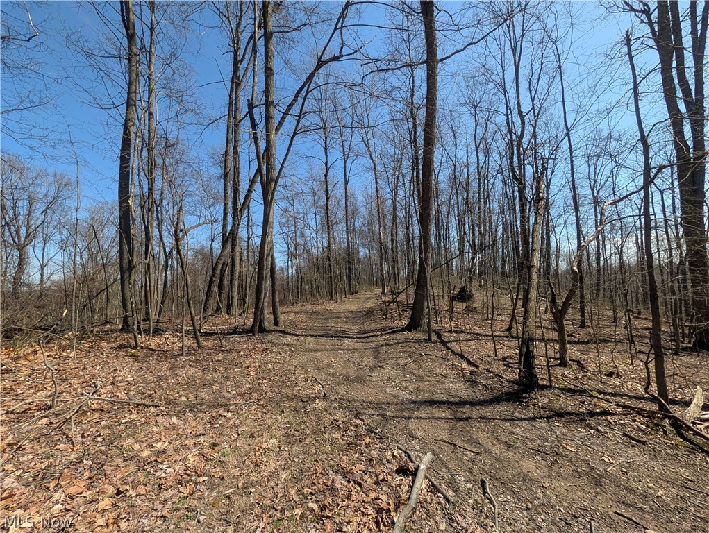 Township Road 289 Hammondsville OH 43945