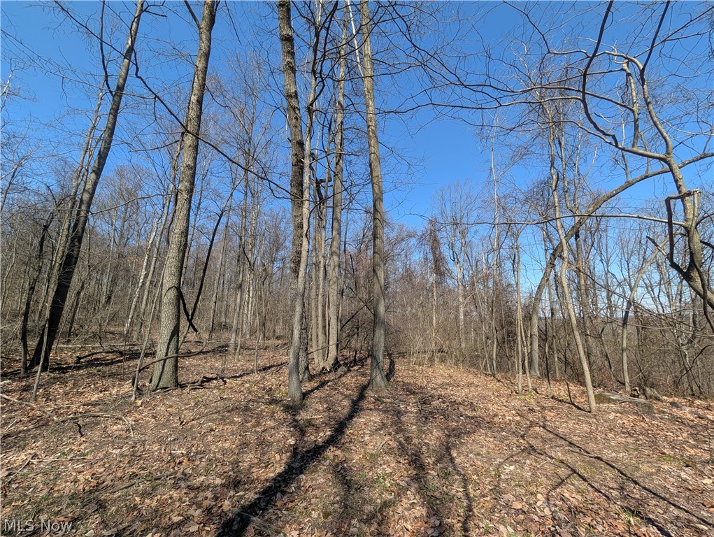 Township Road 289 Hammondsville OH 43945