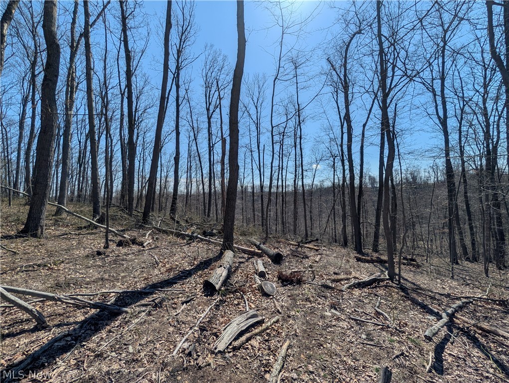 Township Road 289 Hammondsville OH 43945