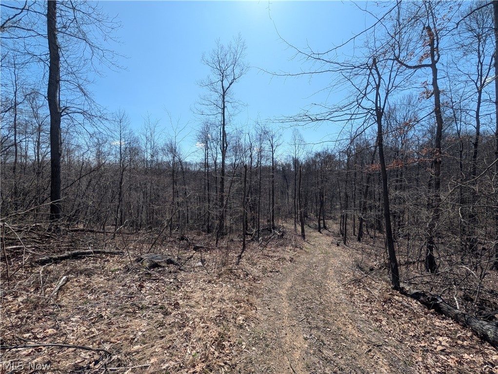 Township Road 289 Hammondsville OH 43945