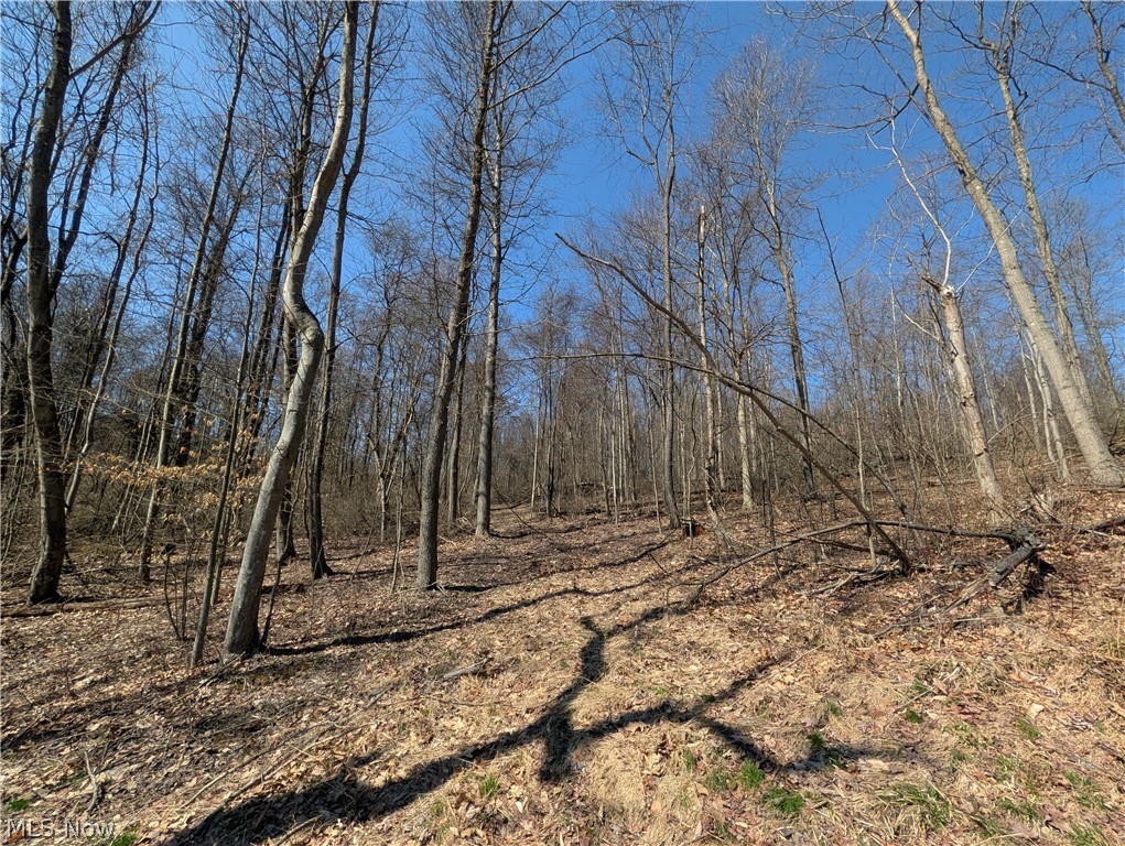 Township Road 289 Hammondsville OH 43945