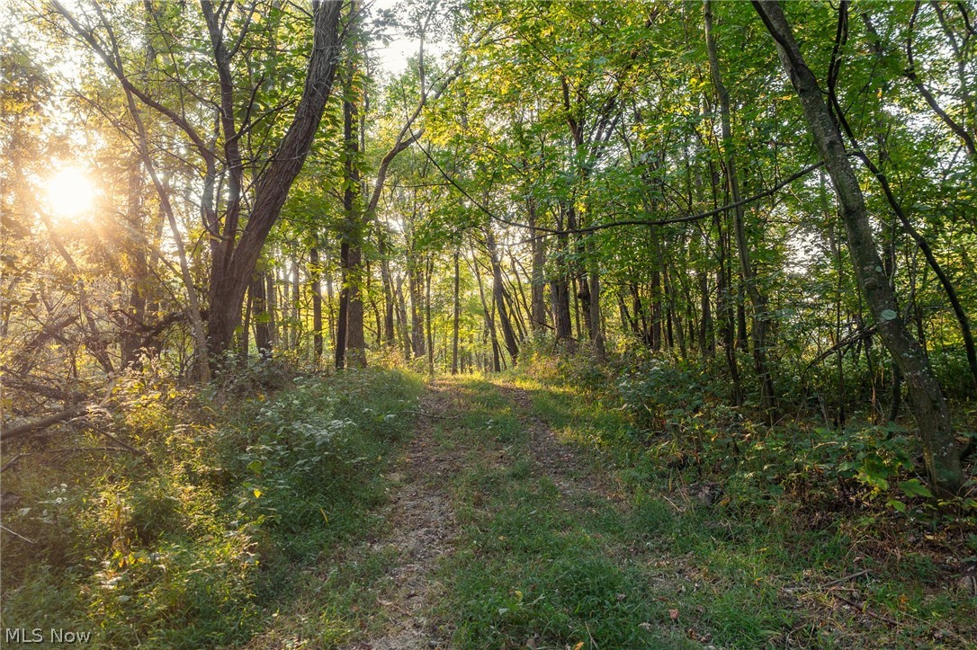 10772 Lawndell Road SW Navarre OH 44608