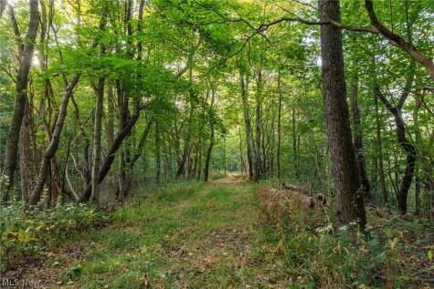 10772 Lawndell Road SW Navarre OH 44608