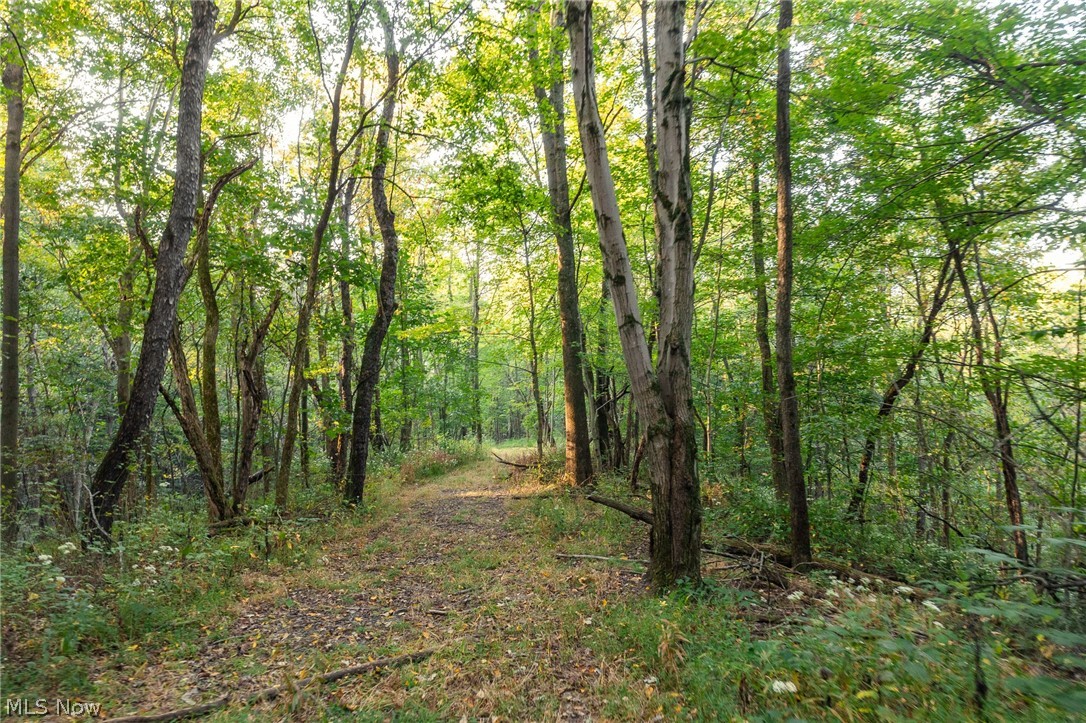 10772 Lawndell Road SW Navarre OH 44608