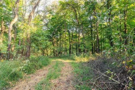 10772 Lawndell Road SW Navarre OH 44608