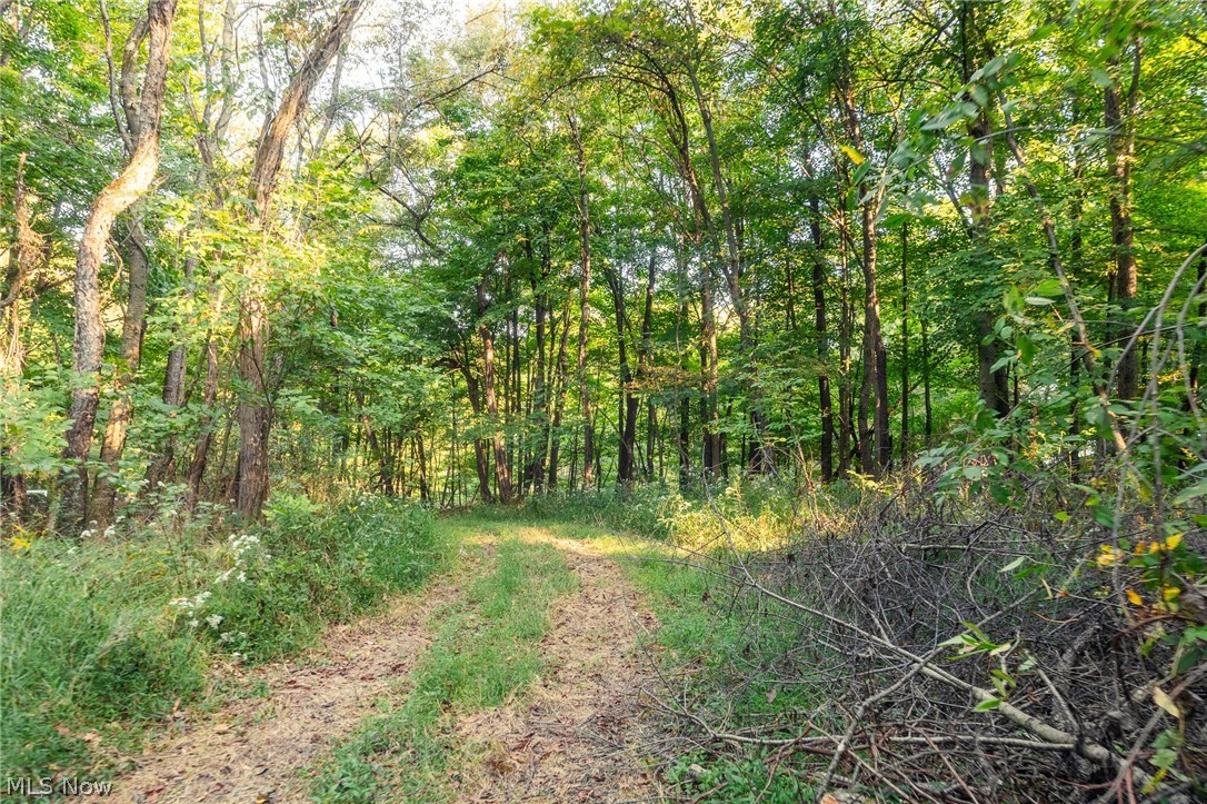 10772 Lawndell Road SW Navarre OH 44608