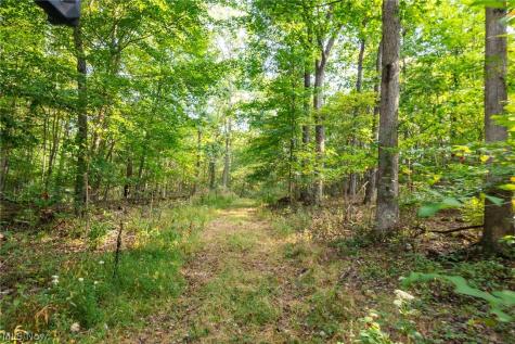 10772 Lawndell Road SW Navarre OH 44608
