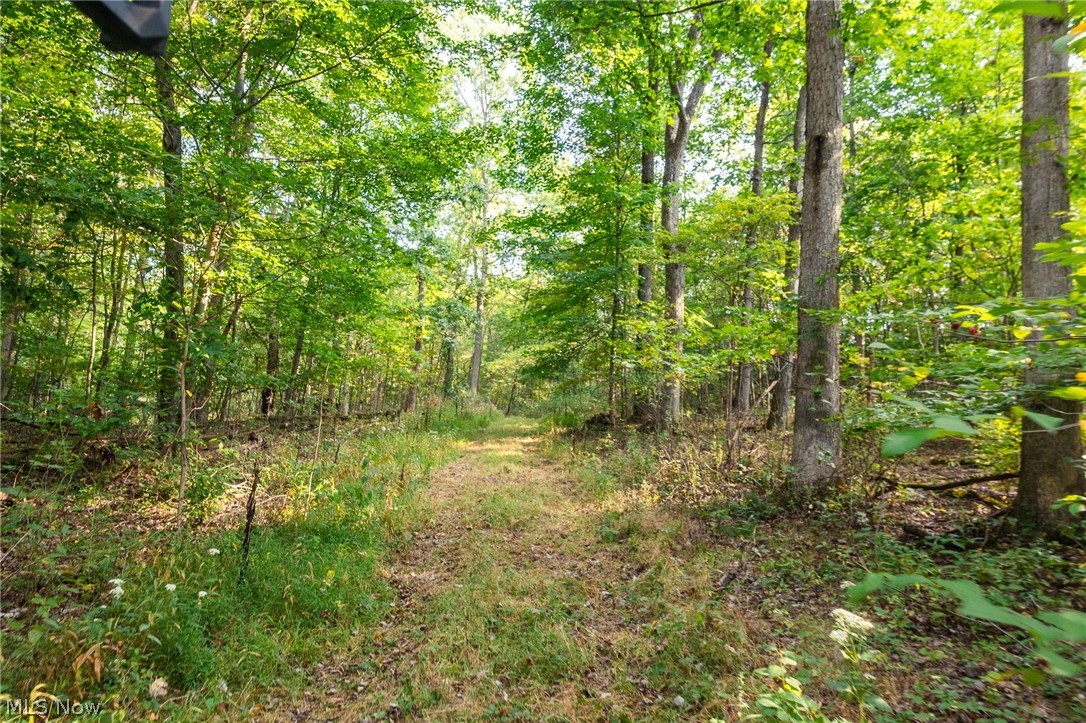 10772 Lawndell Road SW Navarre OH 44608
