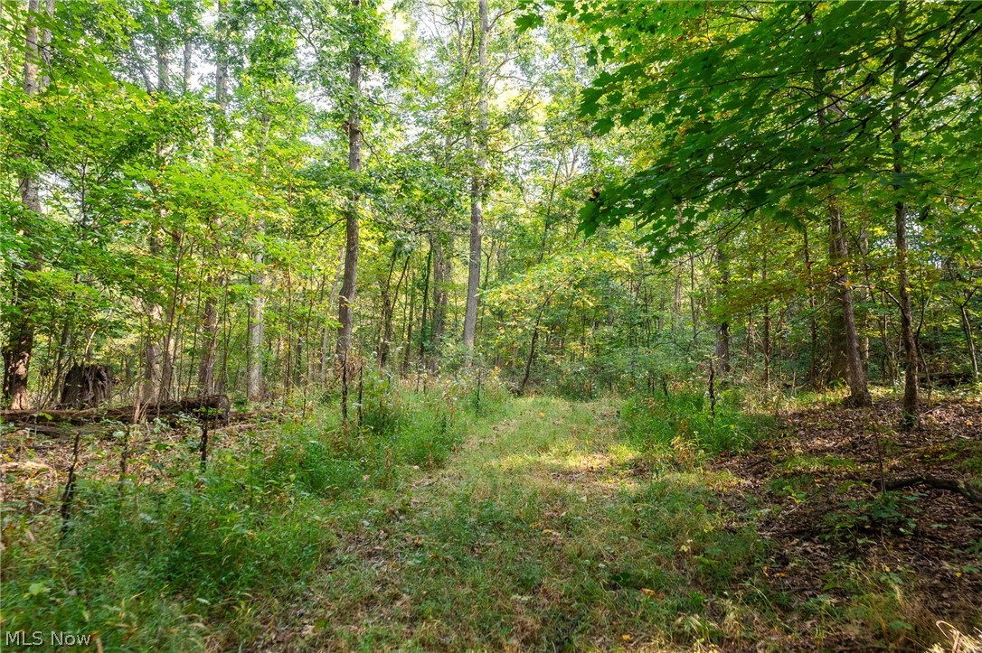 10772 Lawndell Road SW Navarre OH 44608