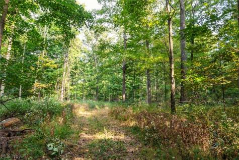 10772 Lawndell Road SW Navarre OH 44608