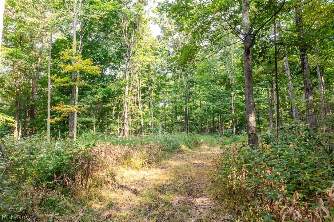 10772 Lawndell Road SW Navarre OH 44608