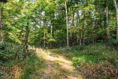 10772 Lawndell Road SW Navarre OH 44608
