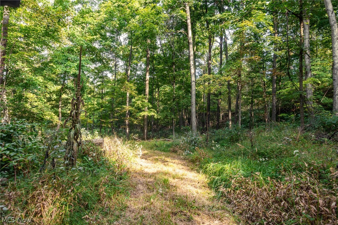 10772 Lawndell Road SW Navarre OH 44608