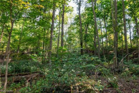 10772 Lawndell Road SW Navarre OH 44608