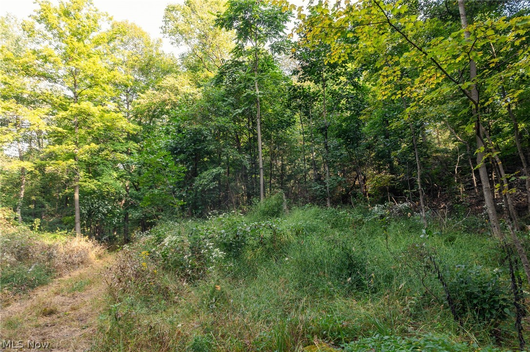 10772 Lawndell Road SW Navarre OH 44608
