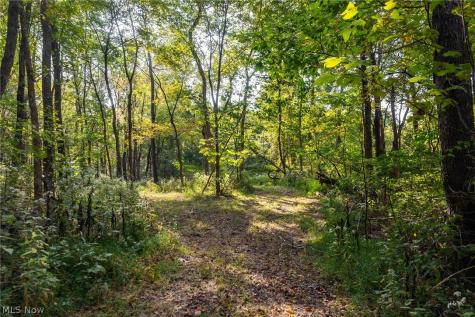 10772 Lawndell Road SW Navarre OH 44608