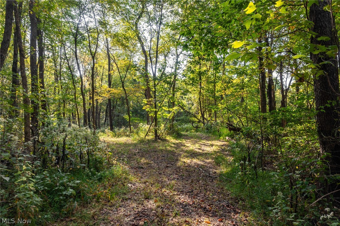 10772 Lawndell Road SW Navarre OH 44608