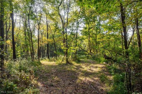 10772 Lawndell Road SW Navarre OH 44608