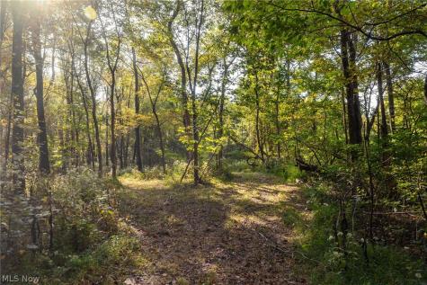 10772 Lawndell Road SW Navarre OH 44608