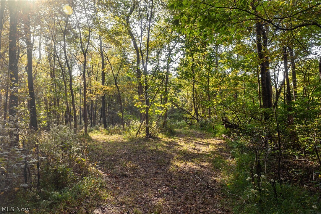 10772 Lawndell Road SW Navarre OH 44608