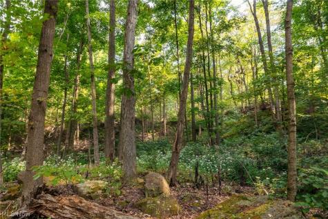 10772 Lawndell Road SW Navarre OH 44608