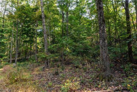10772 Lawndell Road SW Navarre OH 44608