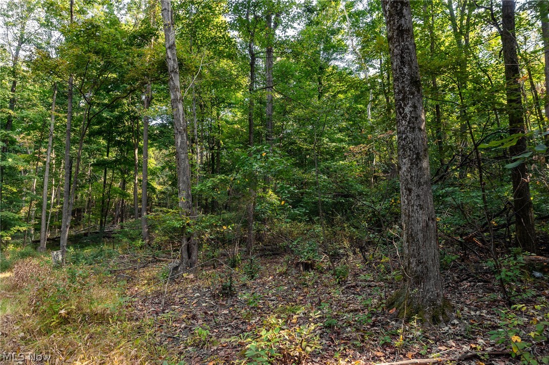 10772 Lawndell Road SW Navarre OH 44608