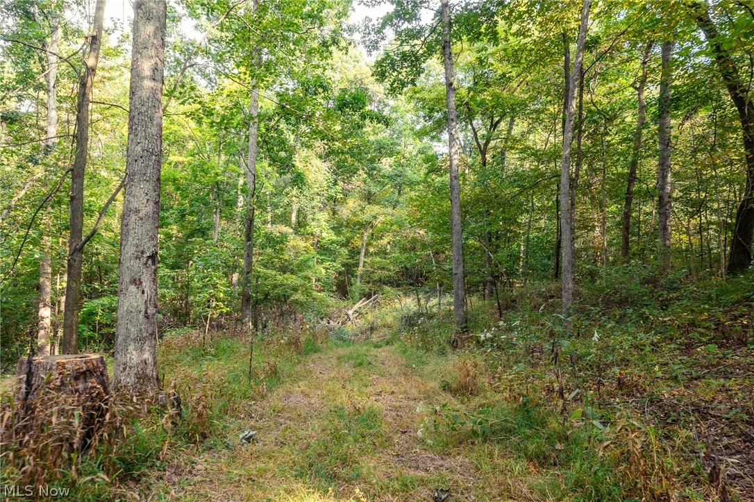 10772 Lawndell Road SW Navarre OH 44608