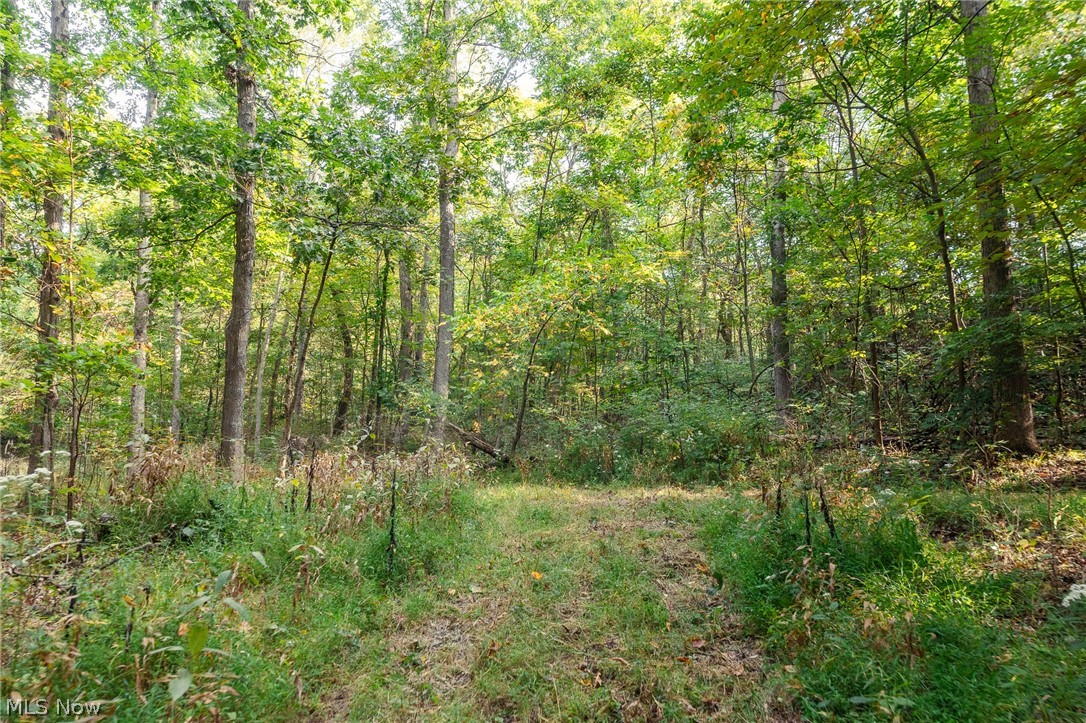 10772 Lawndell Road SW Navarre OH 44608